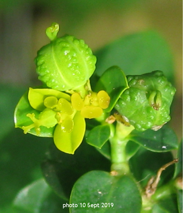 Photo 10 Sept 2019